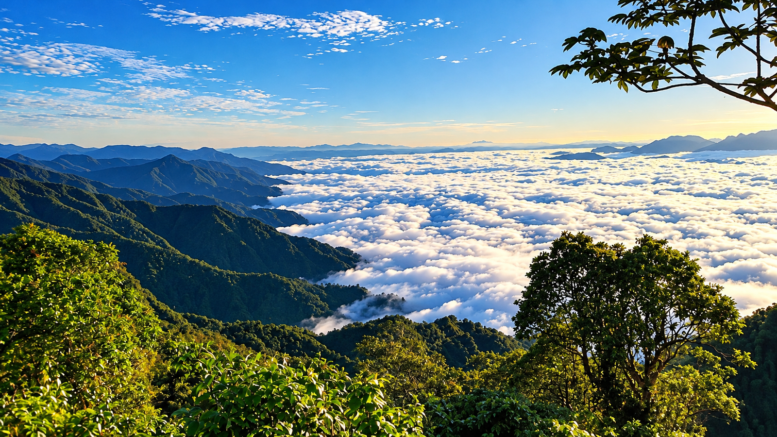 panorama sobre un mar de nubes putumayo